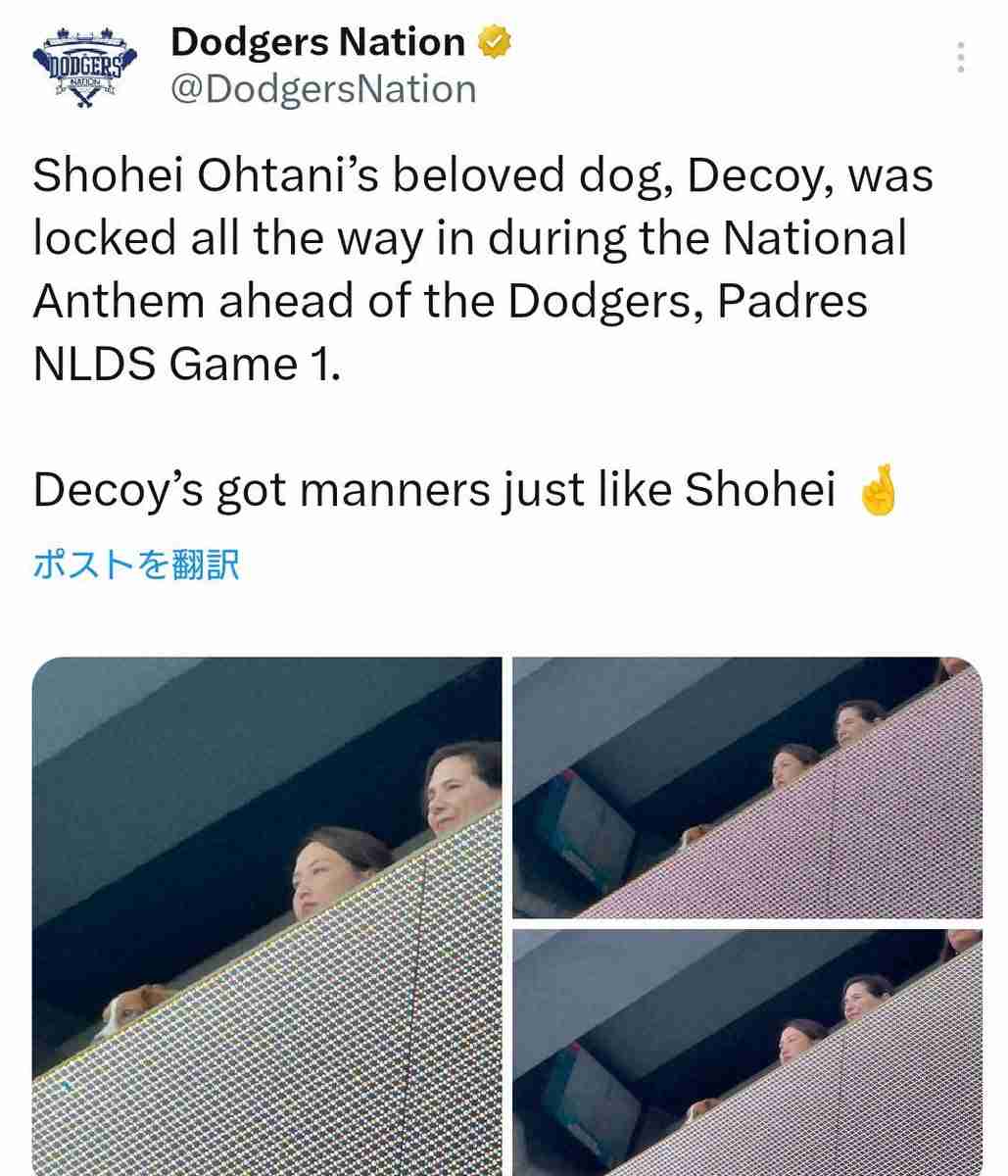 大谷翔平の愛犬デコピン　国歌斉唱中に真美子夫人と並ぶ姿に日米ファンが感心「翔平に似て礼儀正しい」