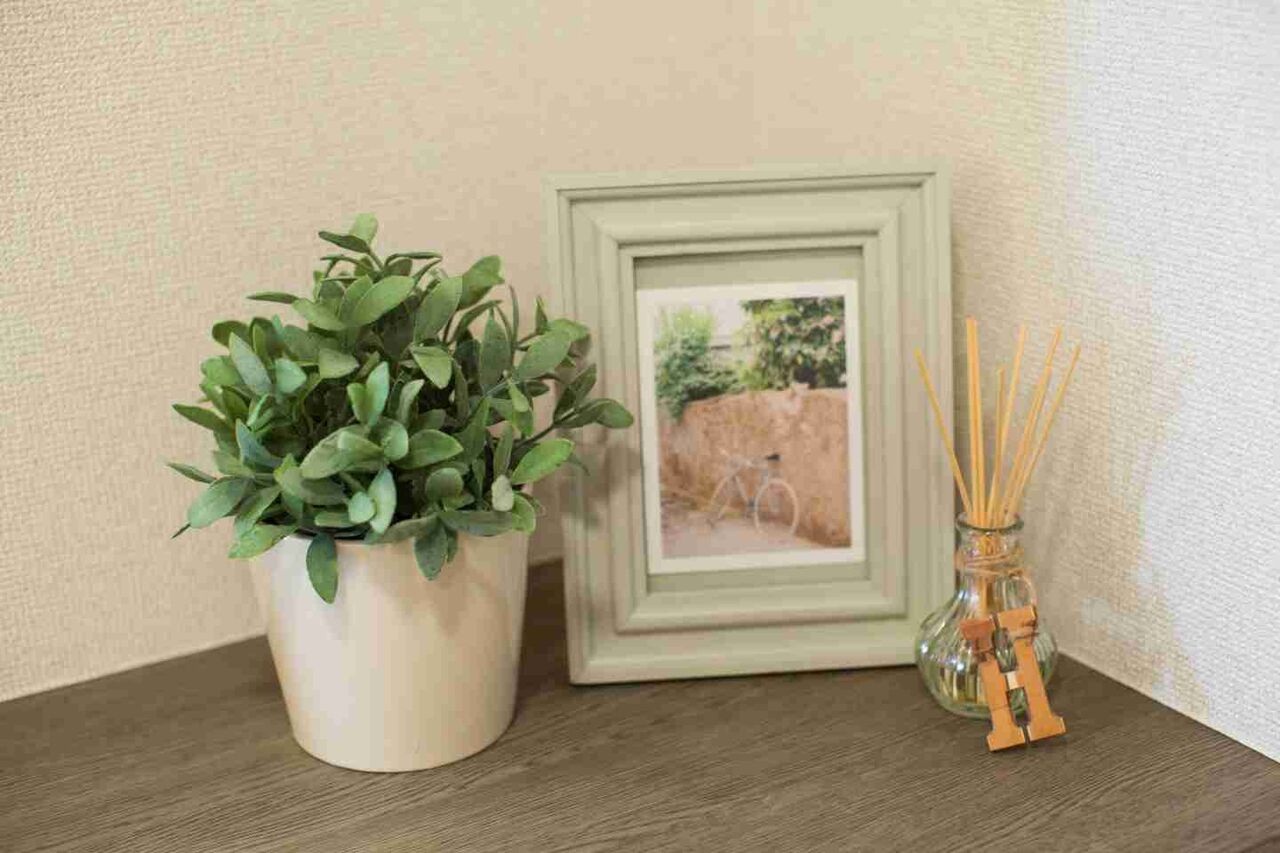 これ、うちのことかも…？「よそのお宅のトイレで気になったこと」を調査！こんなところも見られていました