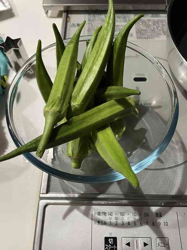 軽い気持ちで植えた100均のオクラ→2カ月後「大変な事になってる」育ちっぷりが話題　「わかる」と共感多数