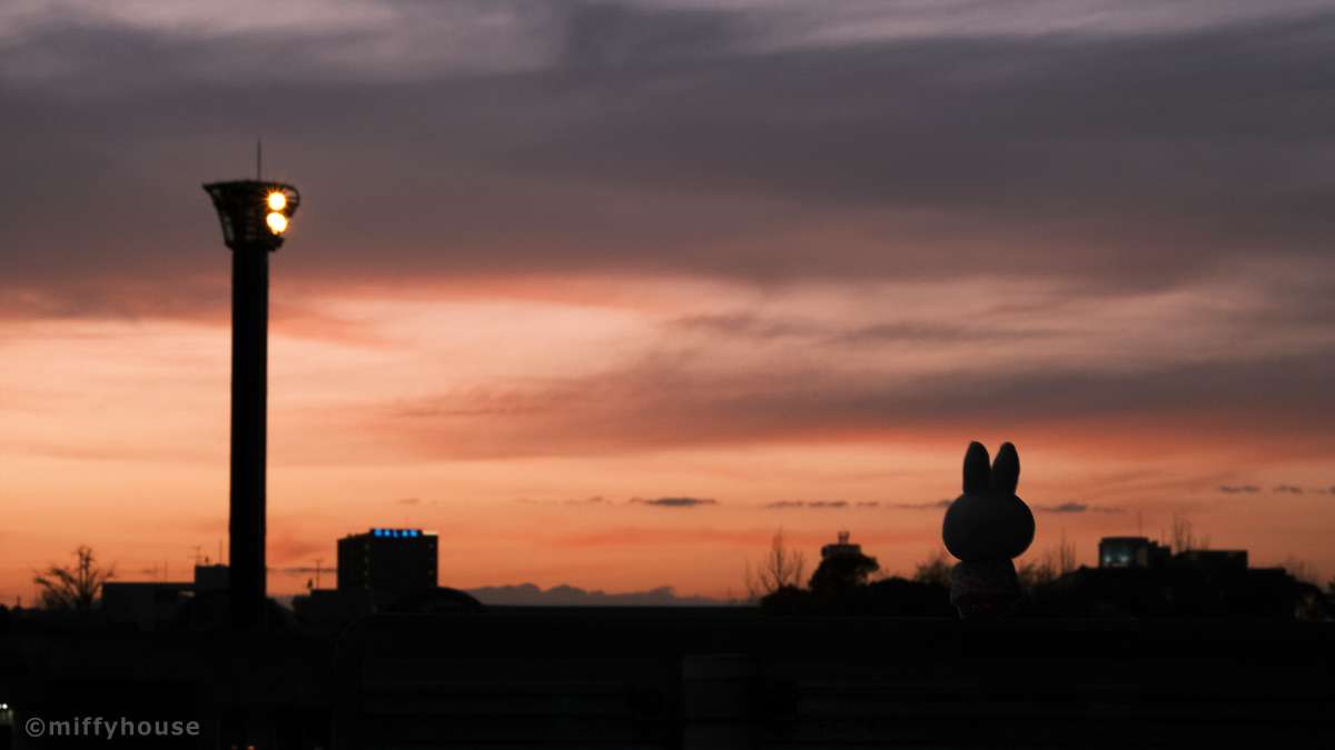 周囲にやり過ぎな節約をしている方いませんか？