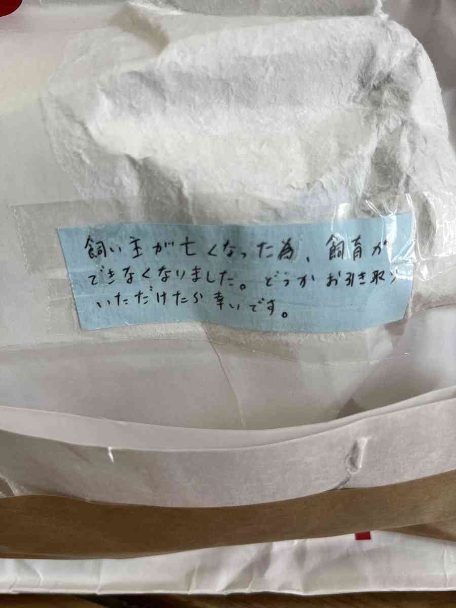 「命をなんだと」「不法遺棄と同じ」　生きたインコを一方的に送り付け、保護団体が怒り