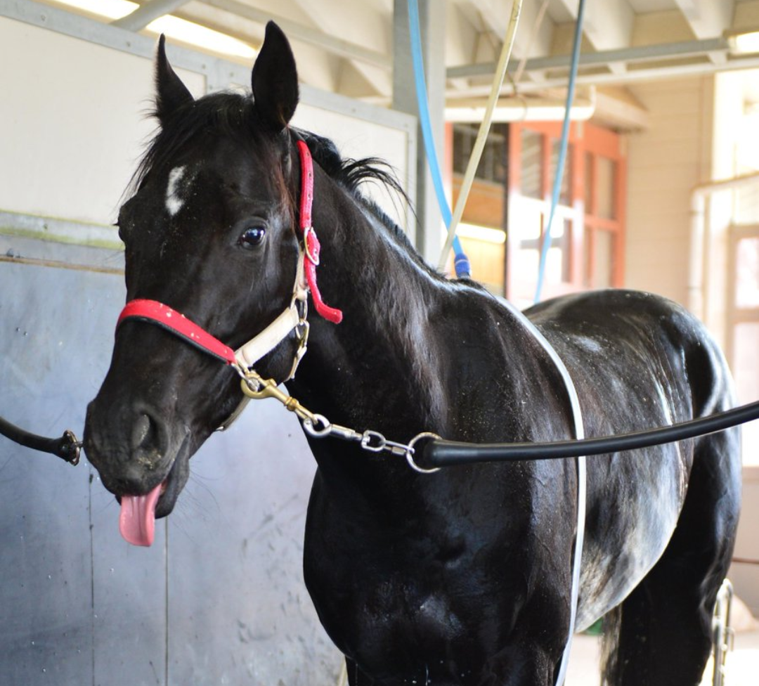 一日中でも話せるくらい好きなものやこと
