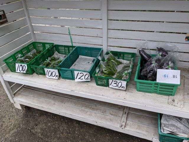 これがあったら田舎だなと思うもの