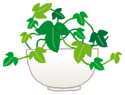 集合！植物絶対枯らしてしまう人