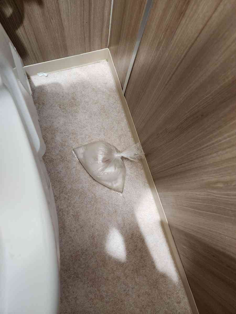 金魚すくいは「責任を持って」　取った金魚をトイレに放置…衰弱状態からの回復過程が反響