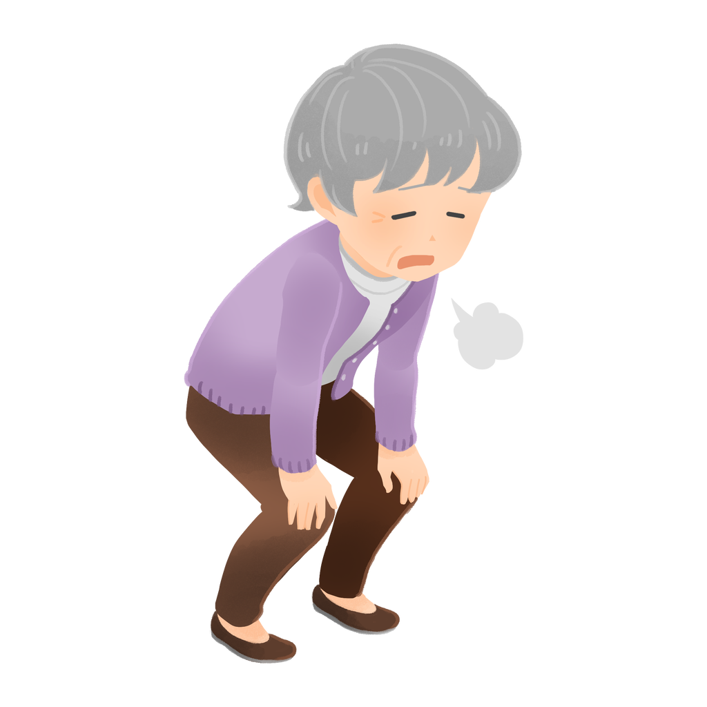 おばさんはつらいよトピ