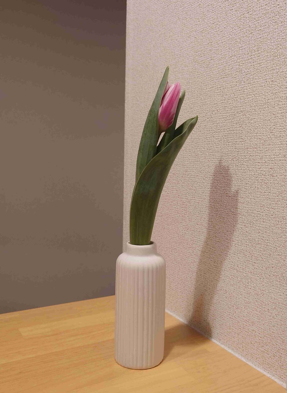 家にお花飾ってる方〜