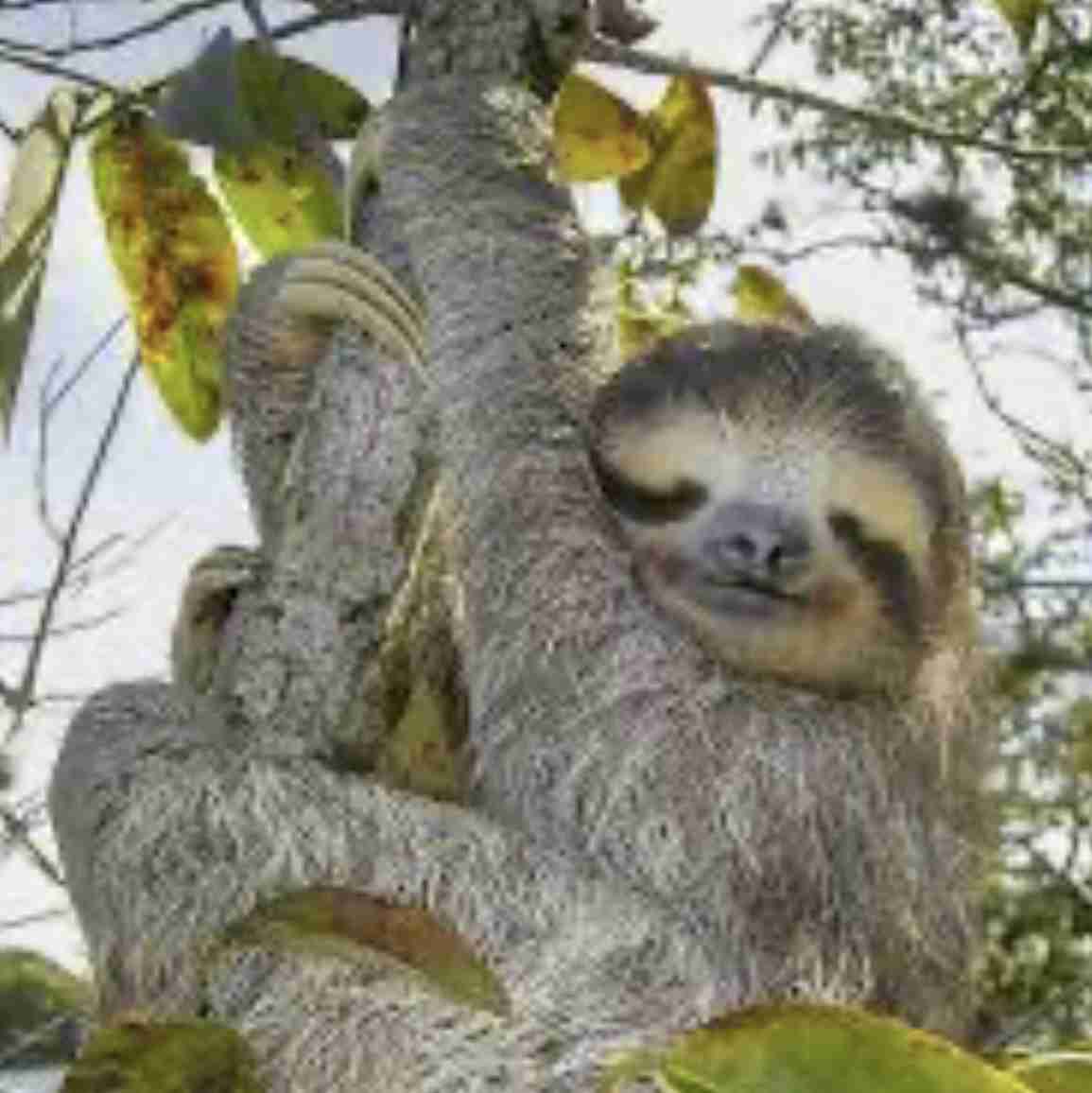 会社の怠け者に対する心の持っていきようを教えて