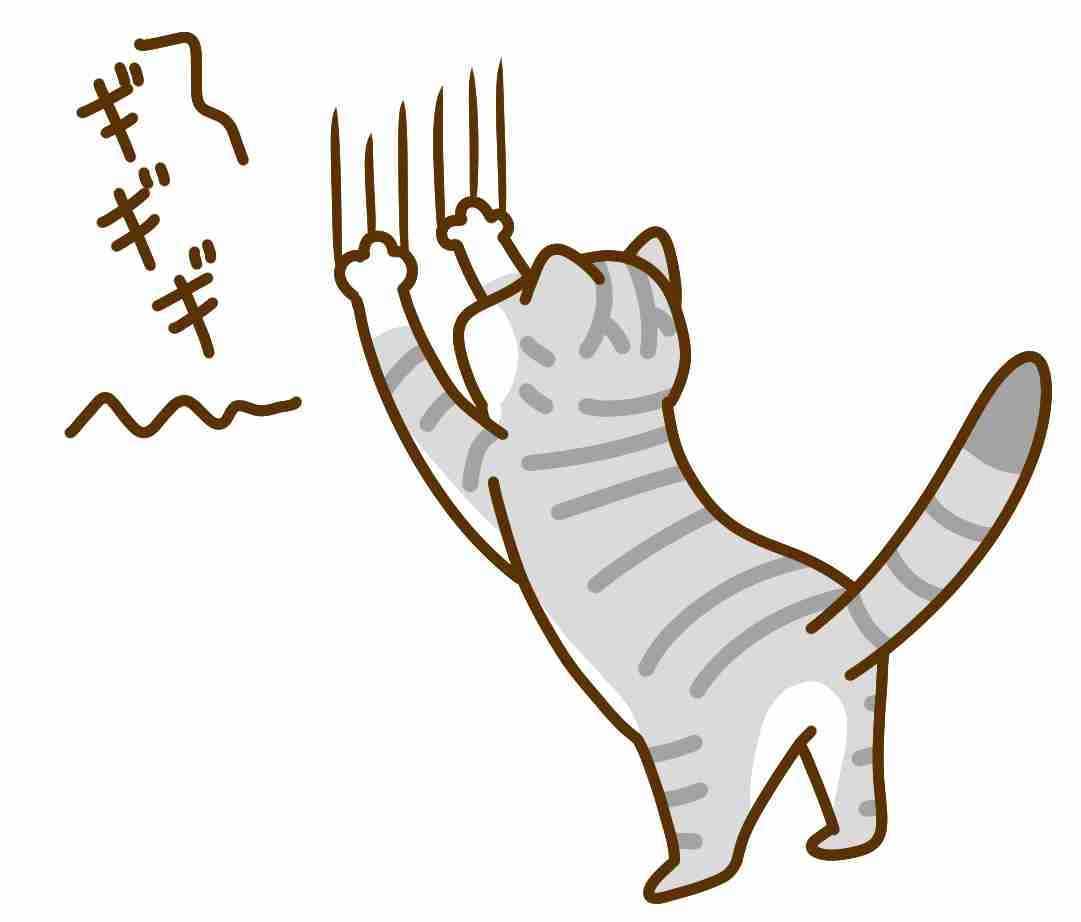 猫飼いの人があきらめていること