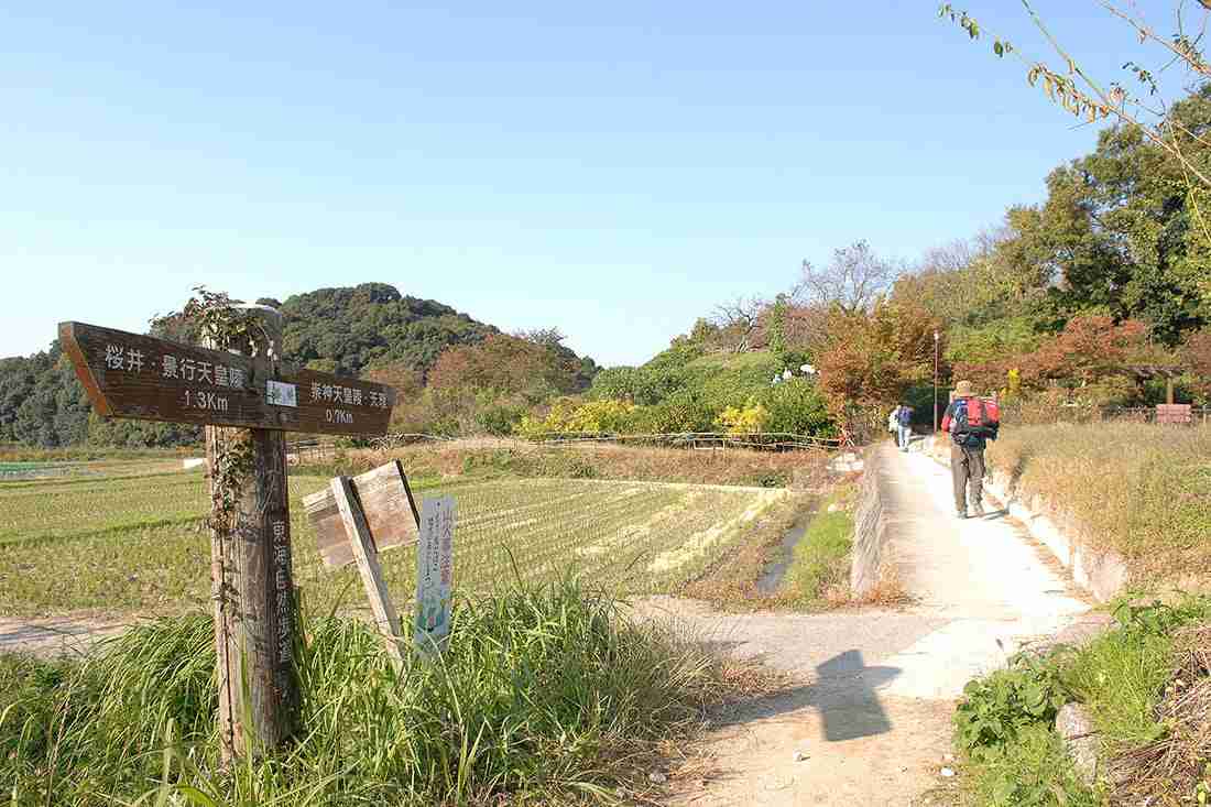 奈良が好きな方々で語りましょう。