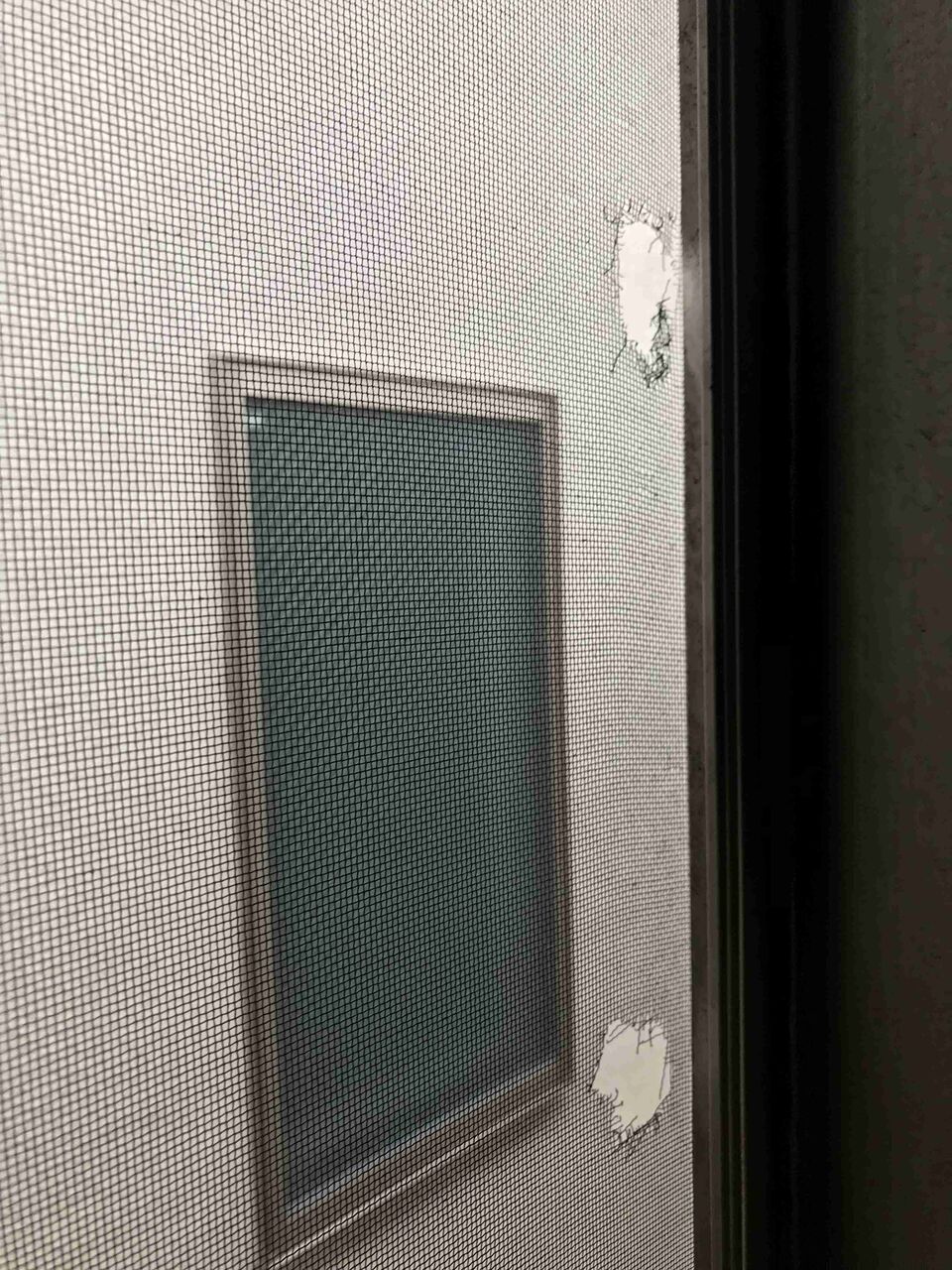 ネズミが家に侵入したことがある人