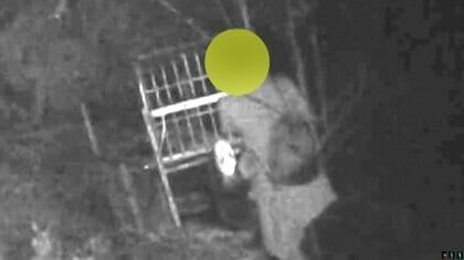 害獣駆除の「箱罠」に妨害行為相次ぐ　扉を蹴り上げて閉める不審人物も…猟友会から相談受け警察は「警告」などの対応