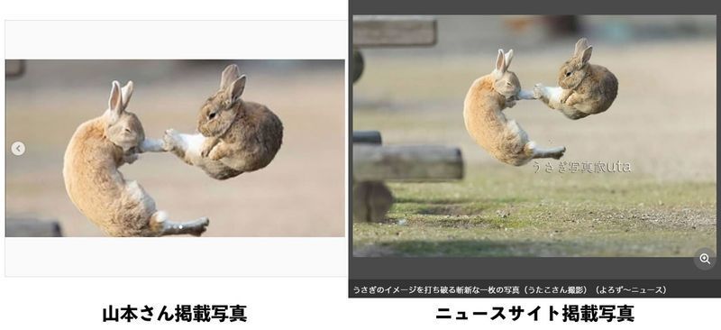 「うちの写真が勝手に使用されていてショック」極楽とんぼ山本圭壱、うさぎ写真をインスタに無断利用で炎上