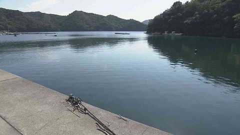 珍しいアレルギーを持っている人