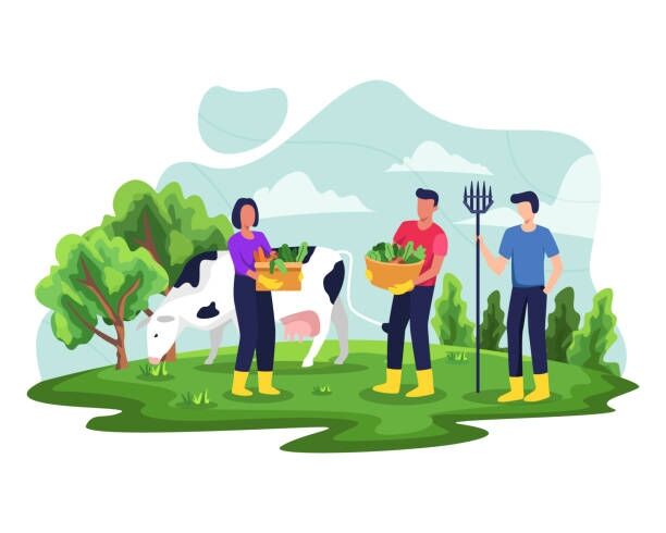 さては田舎の人だなと思わせてください