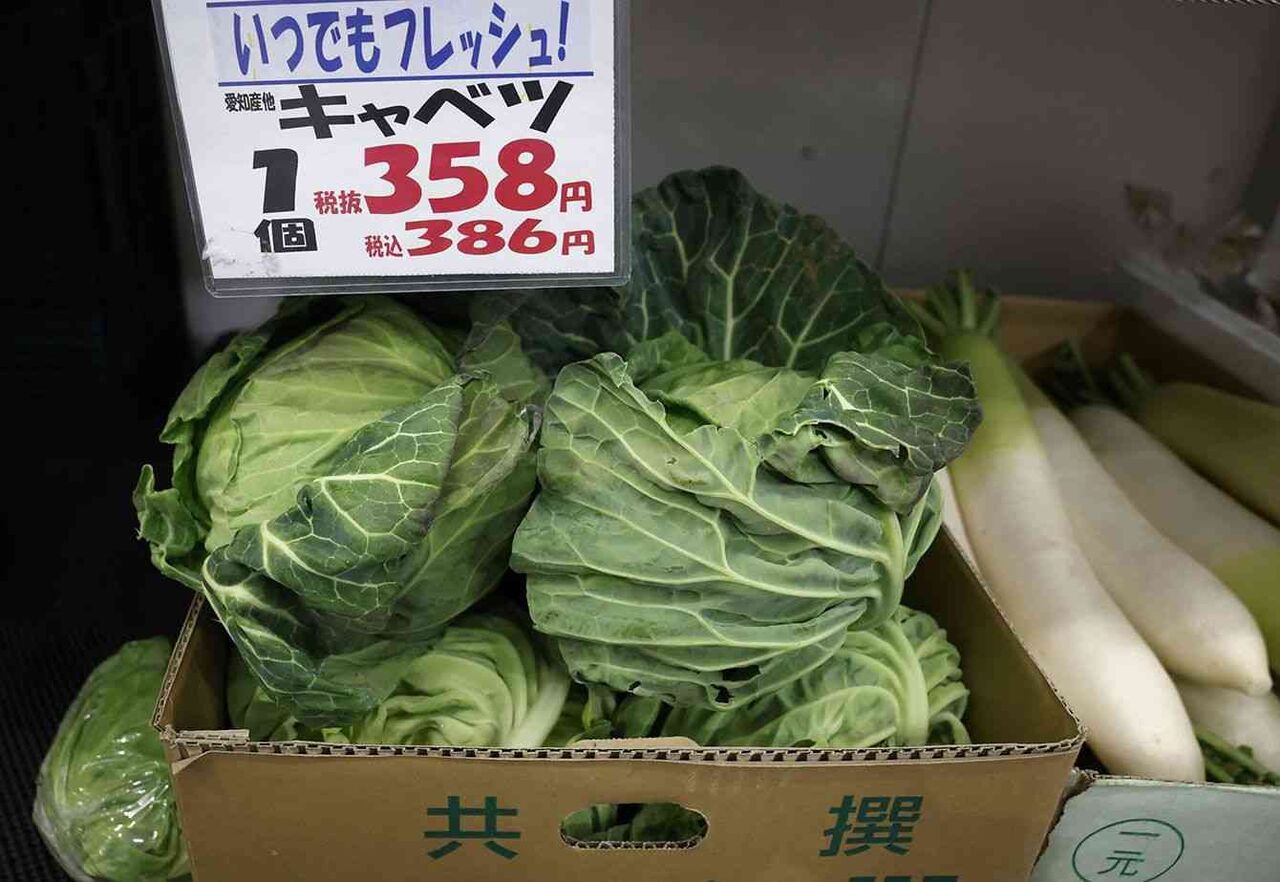 ｢キャベツ1玉500円｣は序章にすぎない…｢いままでが安すぎた｣国産野菜が"高級品化"している不都合な真実
