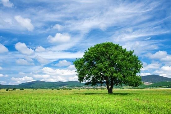 卒業式で歌った曲を書くと、誰かがその曲の思い出を語り出すトピ