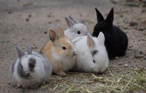 今ハマってるYouTube