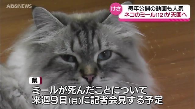 プーチン大統領から贈られたオスのシベリア猫ミール…佐竹知事が看取る