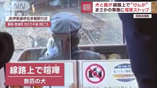 犬とシカが線路上で“けんか”　まさかの事態に電車30分ストップ