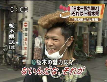 ネット上で有名になった画像