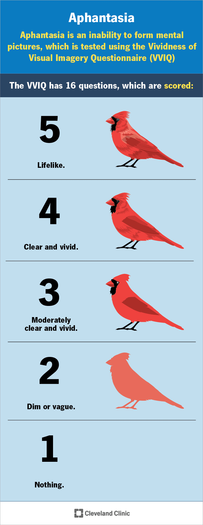 頭の中に映像が見える？見えない？【アファンタジア・ハイパーファンタジア】