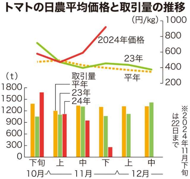 トマト記録的高値　特売需要に供給追いつかず