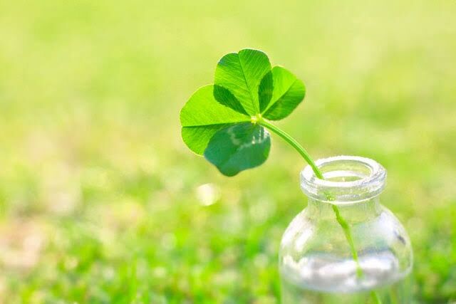 最近あった幸運なこと