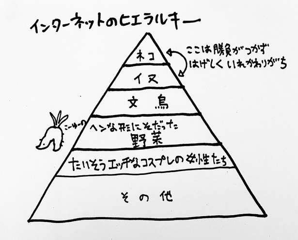 【ネットでは猫と犬が頂点】インターネットのヒエラルキーを描いた図解が万バズ！「そらそうよ」「文鳥以外は納得」とネット民は侃々諤々