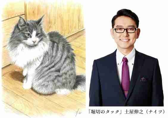 絵が上手いと思う有名人