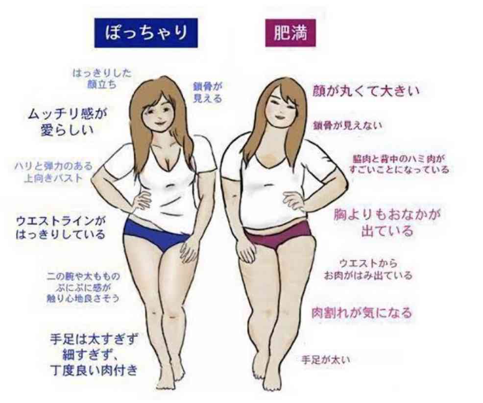 ぽっちゃりとデブの境界線