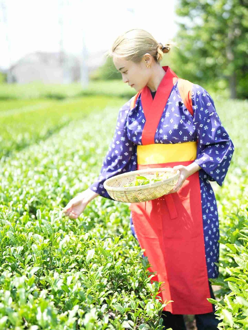 小島瑠璃子「お茶事業」告知も “金髪ネイル” 姿に巻き起こる賛否「1万1000円」の強気価格で注視される “実業家” 路線