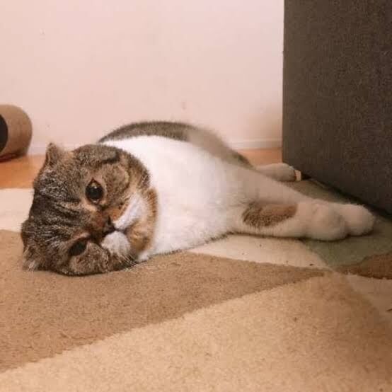 【面倒】めんどくさがり屋で語ろう