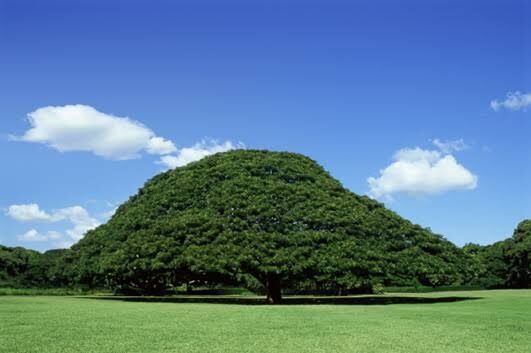 自分だけかもしれないけど、なんだか気になっている事