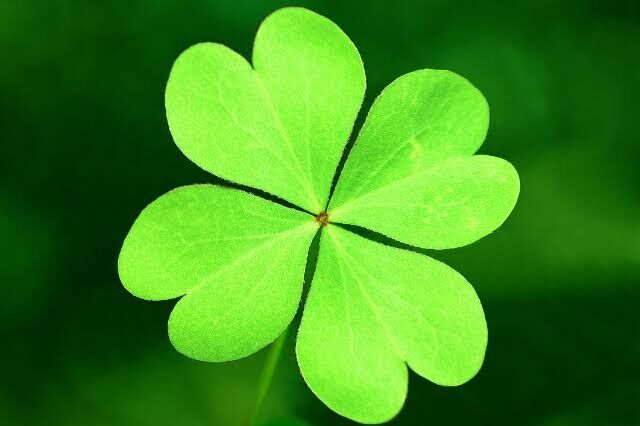 他人の幸せを願える人になりたい