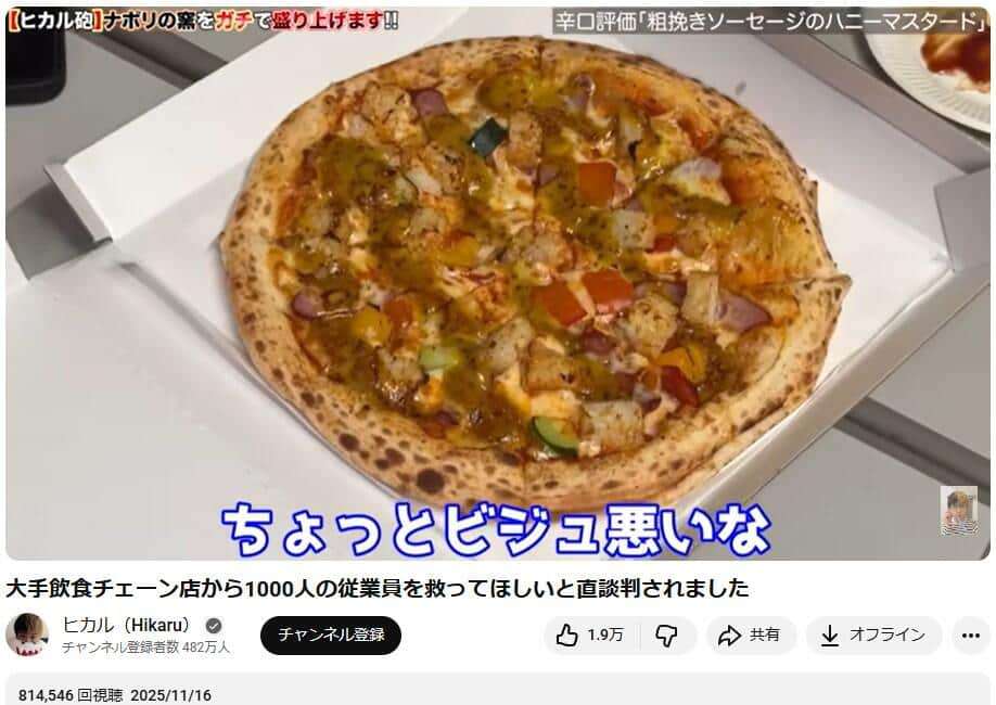 ヒカル、宅配ピザ「ナポリの窯」取締役に就任　「マジで役に立つと思う」「革命起こすから」