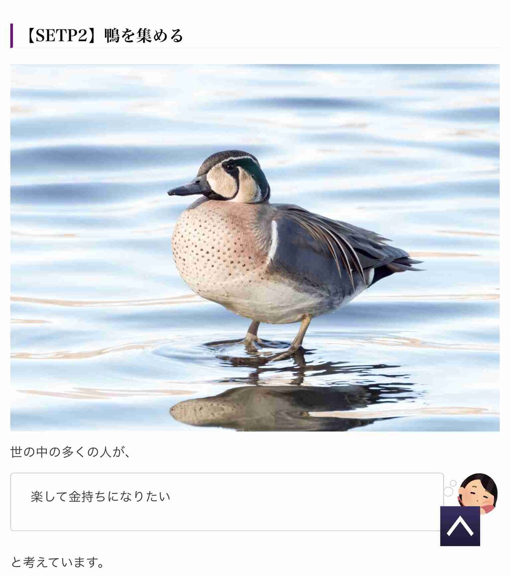 色んな鳥について知ってることを語ろう