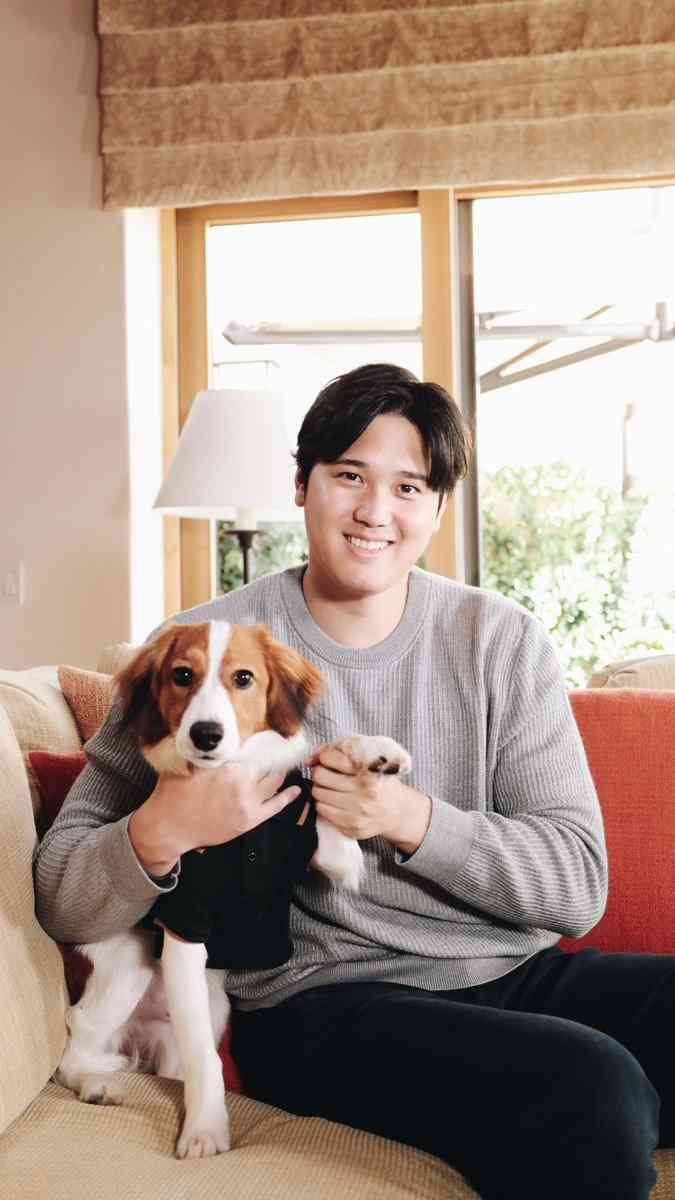 大谷翔平　MVP発表“同席”ワンちゃんは自身の愛犬、本紙取材で判明　「最近飼い出した」