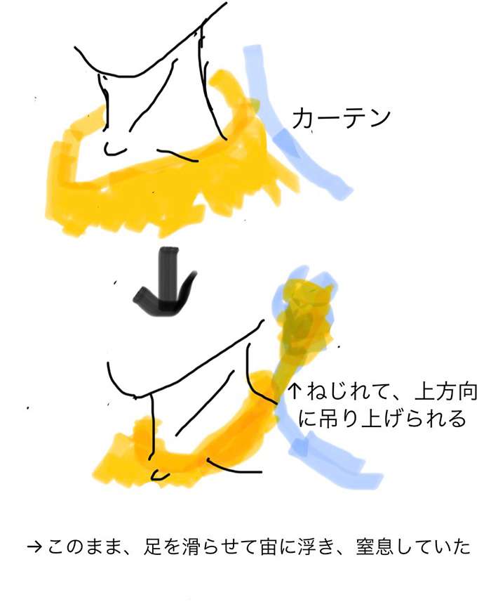 ７歳児、カーテン遊び中に悲劇　母親の注意喚起に「こんなに危険だなんて」