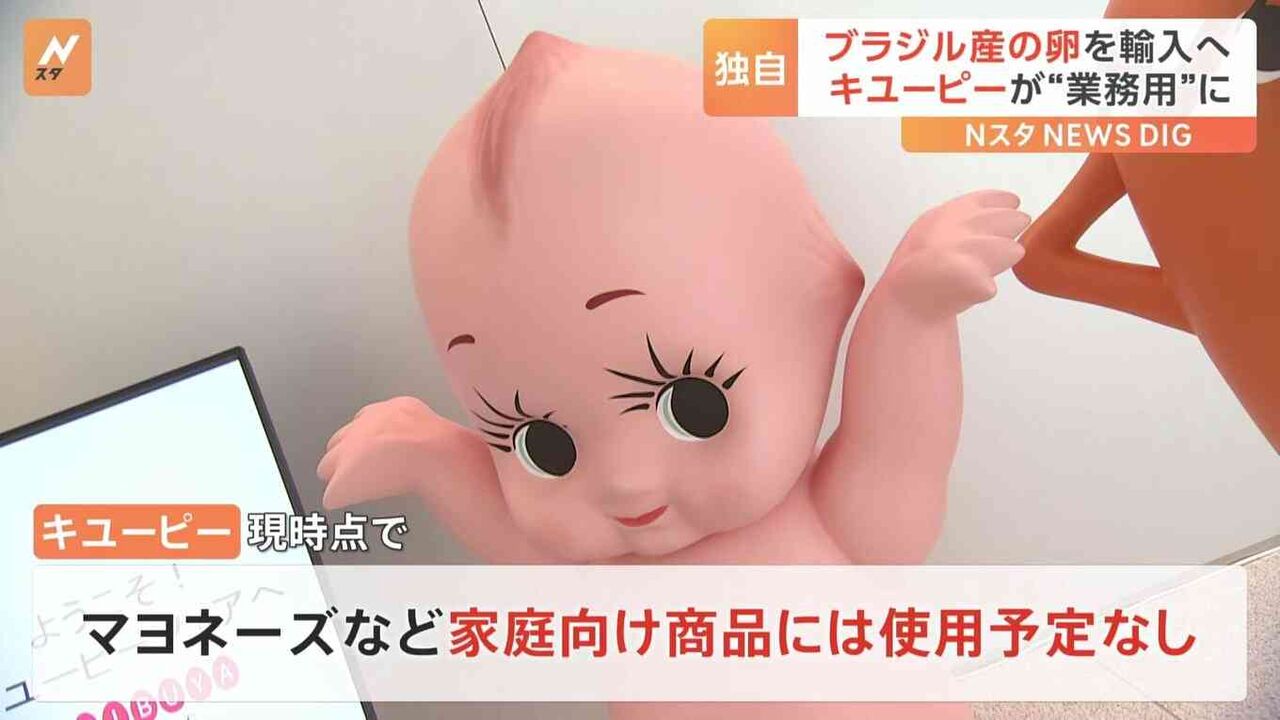 キユーピーが「ブラジル産卵」輸入へ　供給量不足や価格の高騰受け　“業務用商品”向けに