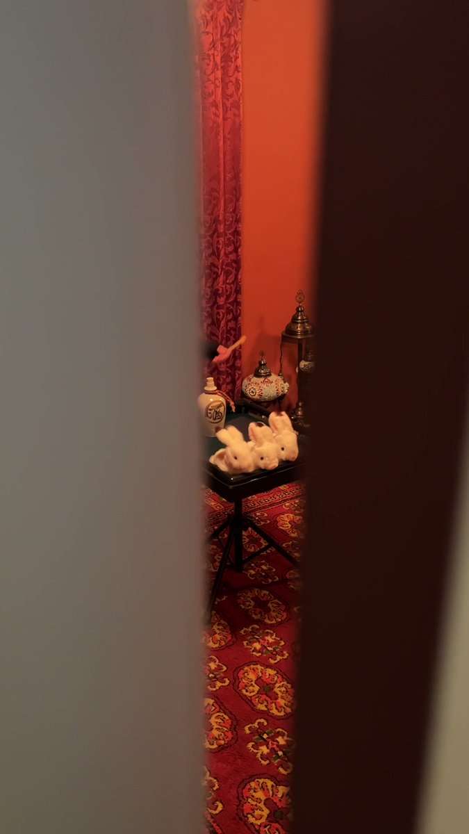 「気が散るからむこうに行って」と言うけれど…夜な夜なタヌキになって踊り出す妻を無視できない