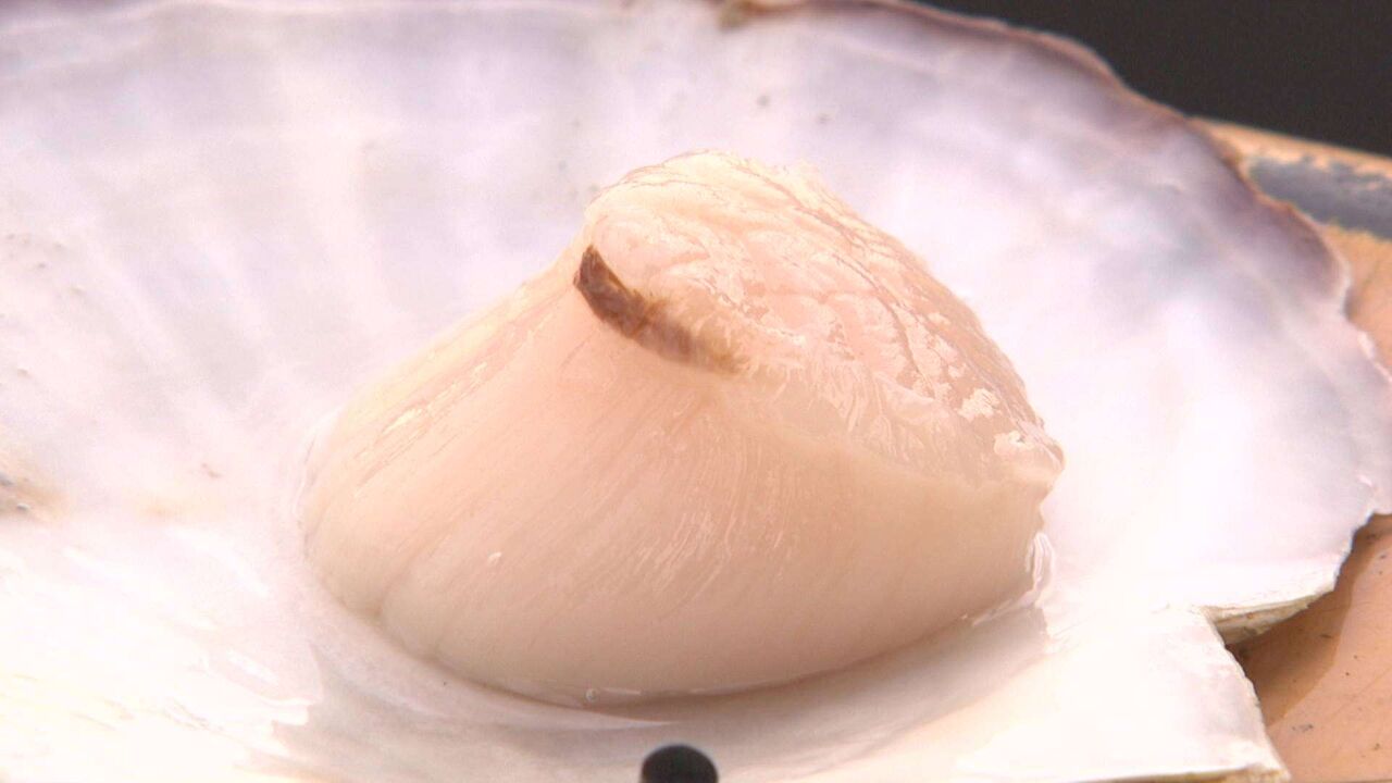 禁輸でなぜ"ホタテ"推す？大打撃の裏に中国依存…倉庫に積み上げられたホタテ在庫 余っているのに安売りしない理由は"ホタテ業界が抱えるジレンマ"