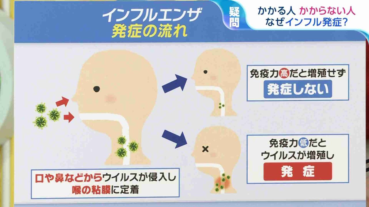 「インフルにかかる人・かからない人の違いは？」「医師はどう予防？」インフルエンザの疑問を専門家に聞く
