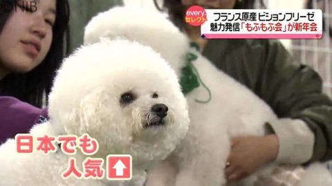 コロナ流行前と後で明らかに変わった事はありますか？