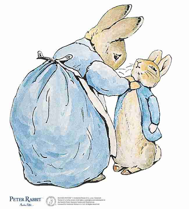 卒論、何を書きましたか？