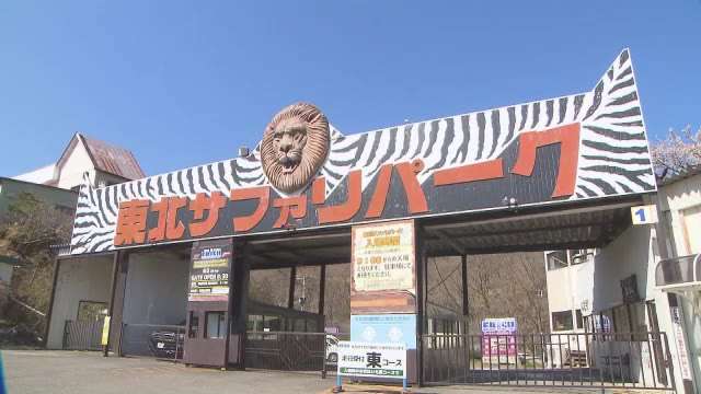 「ライオンの檻のなかで人が倒れている」東北サファリパーク従業員が首から血を流し意識不明に