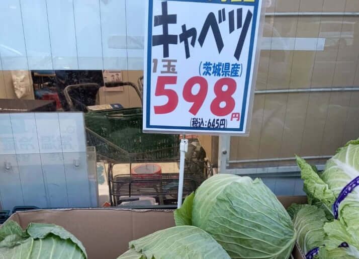 キャベツが「高級食材」に　1玉598円の衝撃　農家では深刻な人手不足で外国人が“参入”
