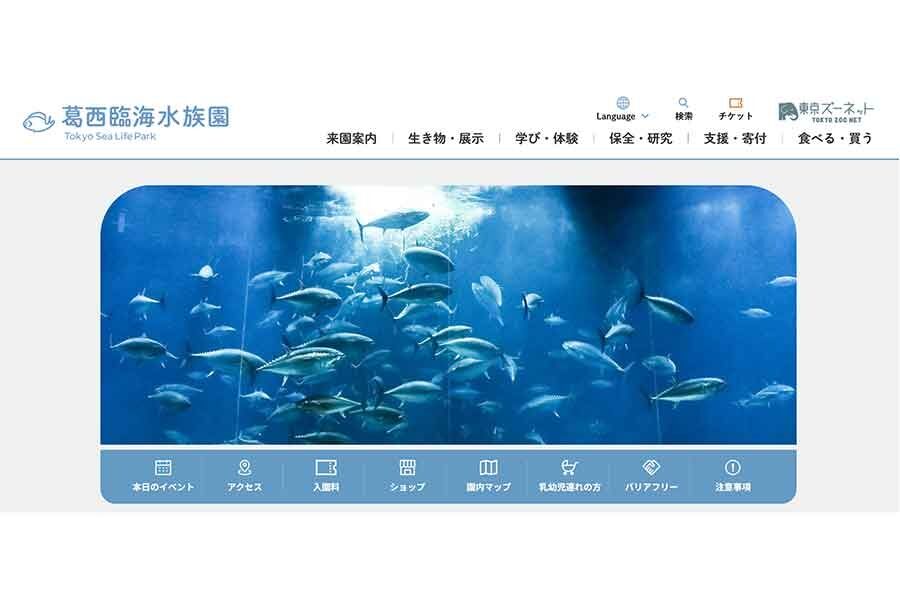 「きえないで」　夏休み明けの子どもたちへ…水族館のメッセージが話題に　園長が明かす真意