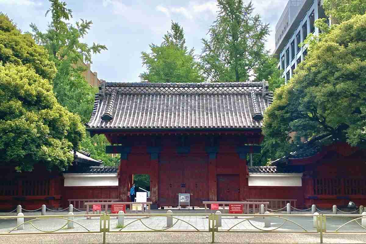 「両親は東大、僕は日大ですが何か？」　高学歴の親に育てられた子供たちの本音と葛藤