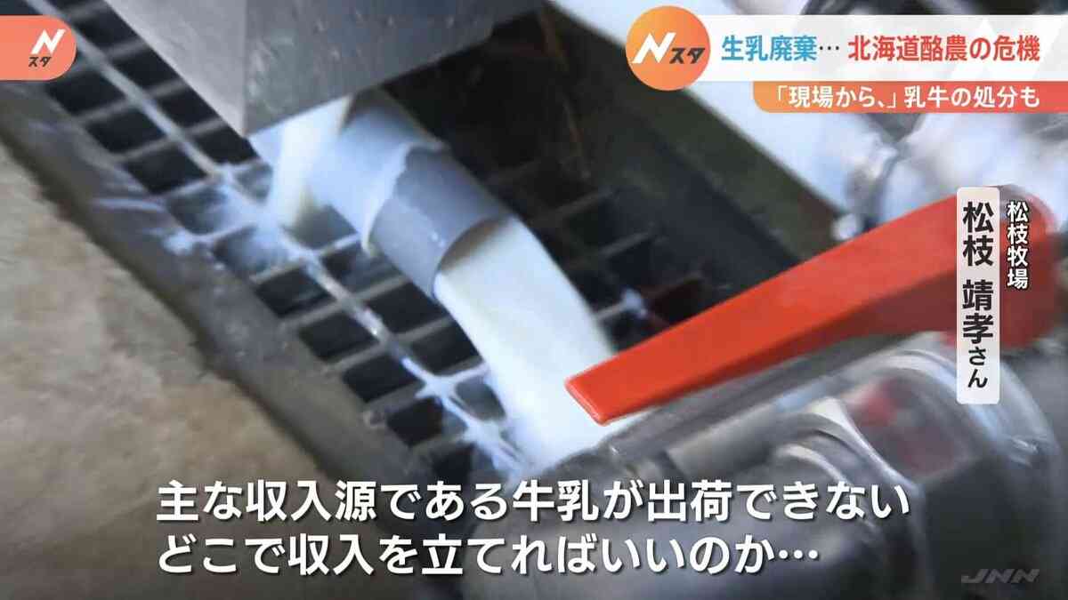 「どこで収入立てればいいの」1トン以上の生乳を“廃棄”　北海道の酪農が“最悪の事態”に